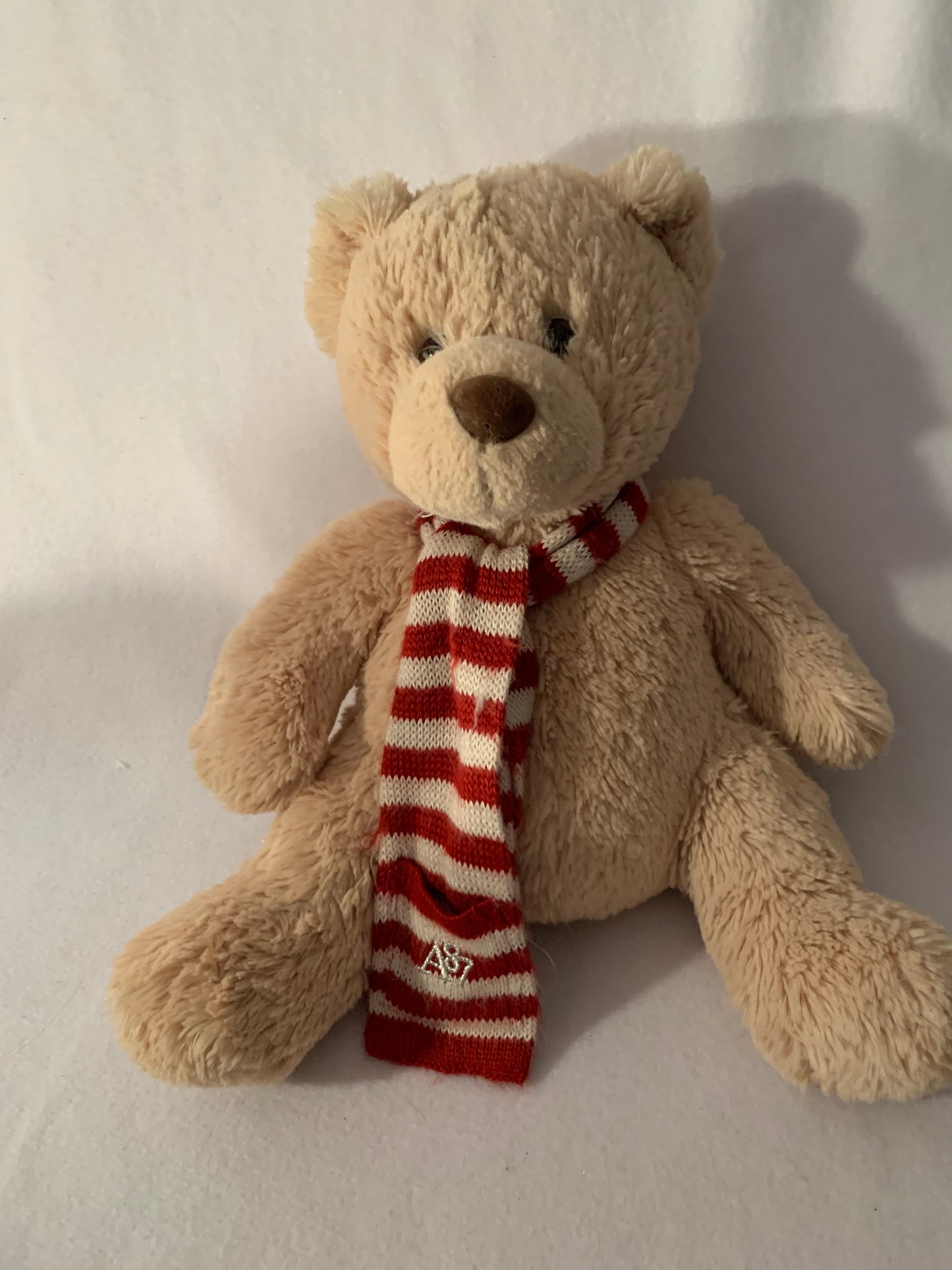 Weighted stuffed animal, teddy bear sensory toy with 3 lbs, AUTISM WEIGHTED PLUSH, washable buddy