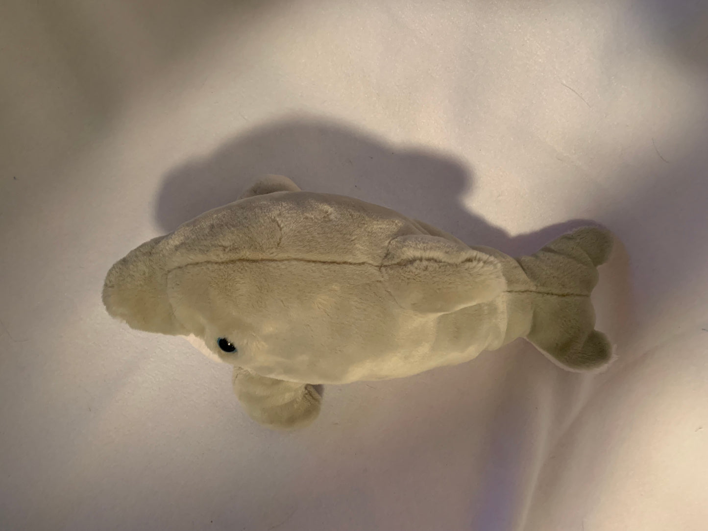 Weighted stuffed animal, dolphin with 3 lbs, washable weighted buddy, AUTISM PLUSH FISH