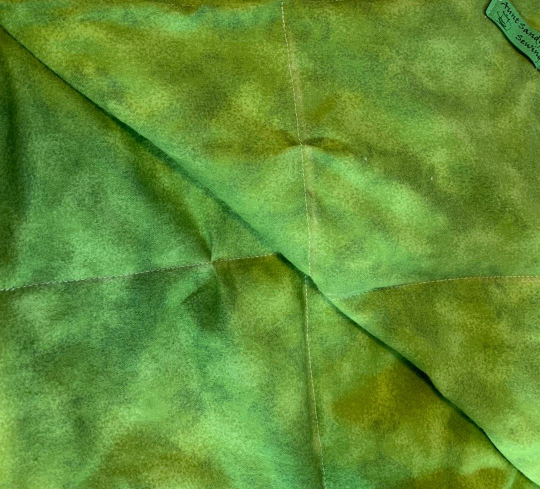 Small Weighted Blanket with Dinosaur, 4 lbs, sleep aide, washable, autism, dino