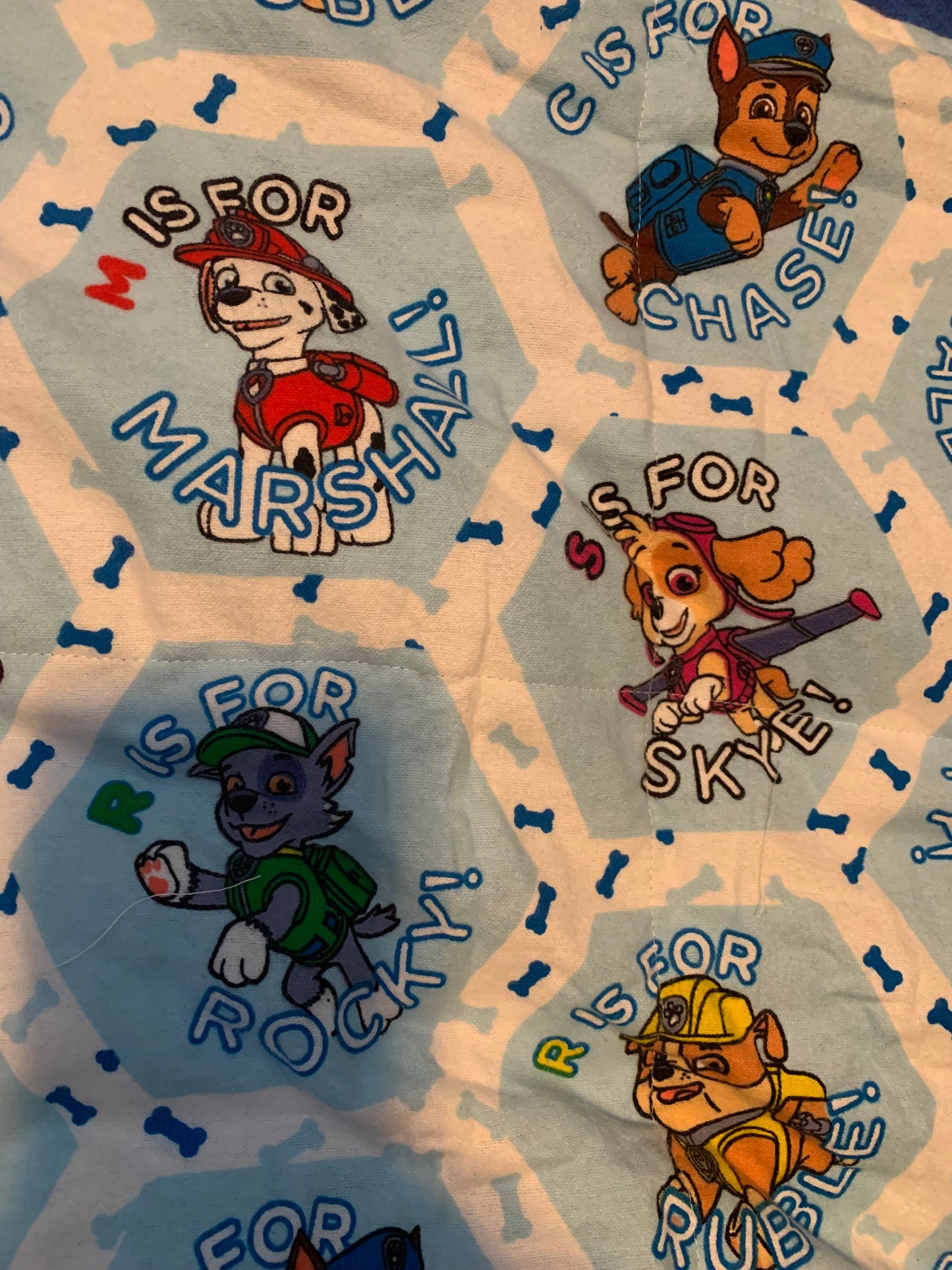 Weighted Lap Blanket Paw Patrol, 6 lbs, sleep aide, washable, autism, Skye, Chase, Marshall, Rubble, Rocky Dogs SALE!!